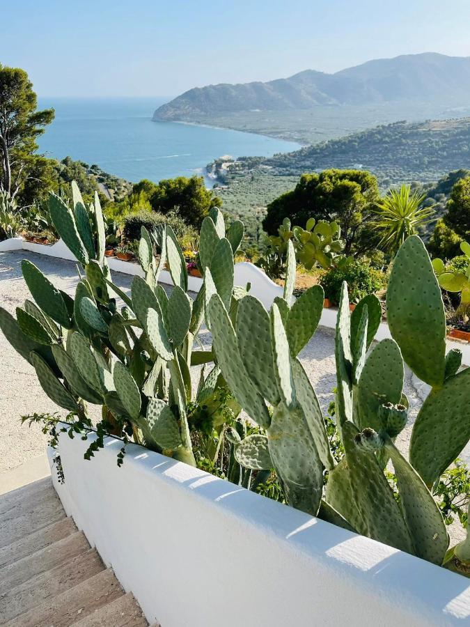 Casa Molo 13 Villa Mattinata Kültér fotó